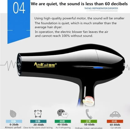 Professional High-Power Hair Dryer