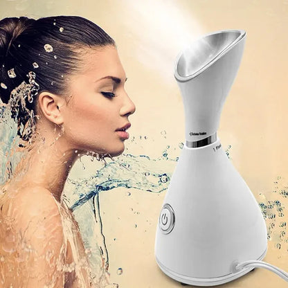 Professional Ionic Facial Steamer